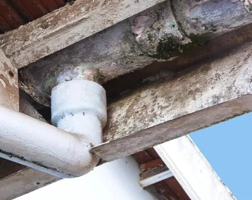 How an Asbestos Survey Helps Prevent Health Risks in Your Property