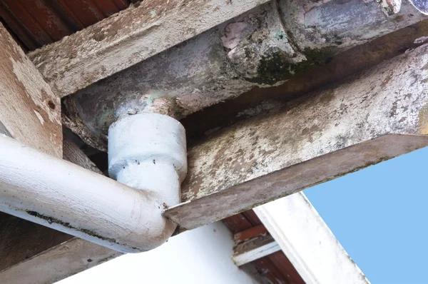 How an Asbestos Survey Helps Prevent Health Risks in Your Property