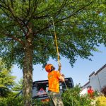 Root Barrier Installation in Ruskin: Stop Tree Roots from Damaging Foundations, Driveways, and Pipes