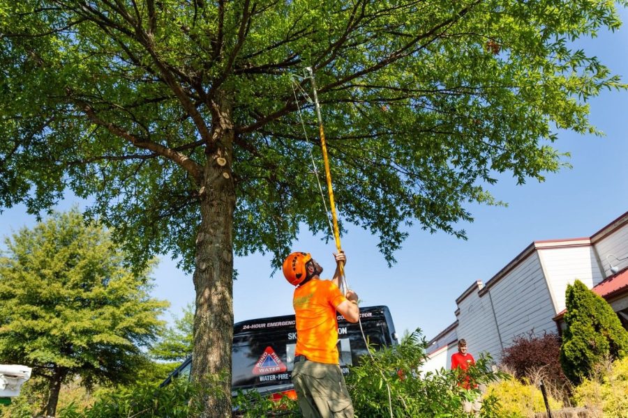 Root Barrier Installation in Ruskin: Stop Tree Roots from Damaging Foundations, Driveways, and Pipes